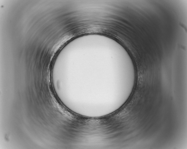 X0000103911034200810031207