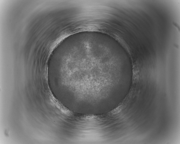 X0000103911035200810031207
