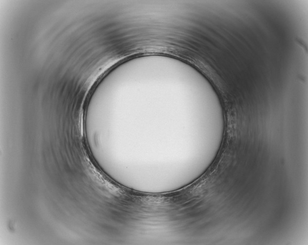 X0000103911036200810031207