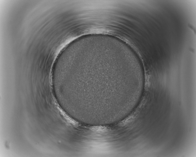 X0000103911037200810031208