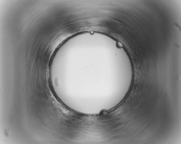 X0000103911040200810031208