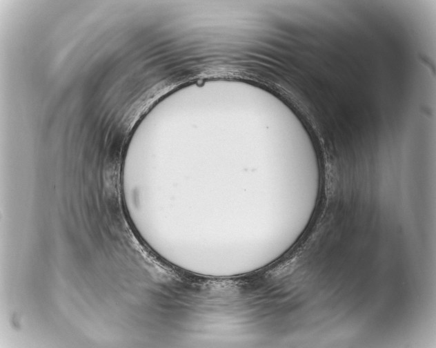 X0000103911041200810031208