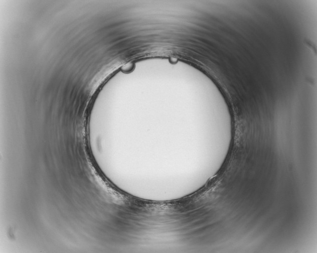 X0000103911042200810031208