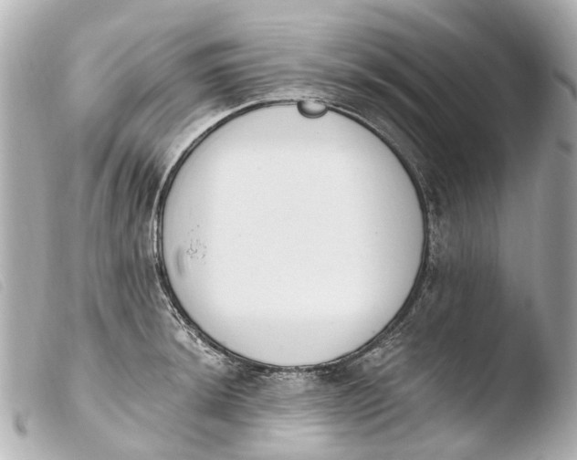 X0000103911044200810031208
