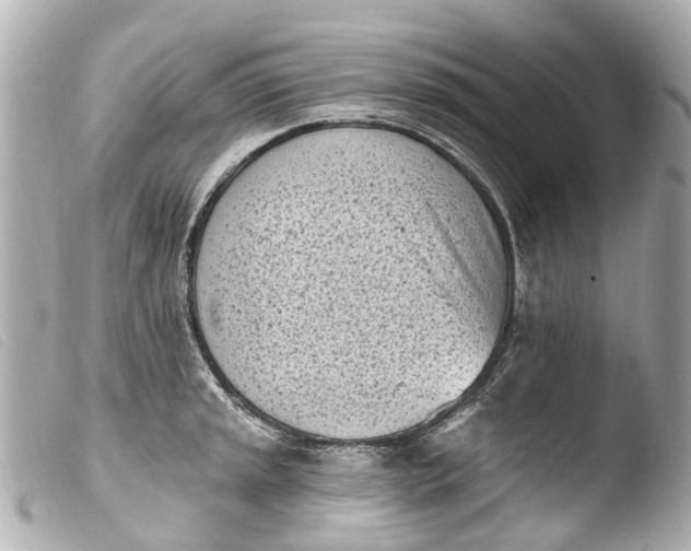 X0000103911045200810031208
