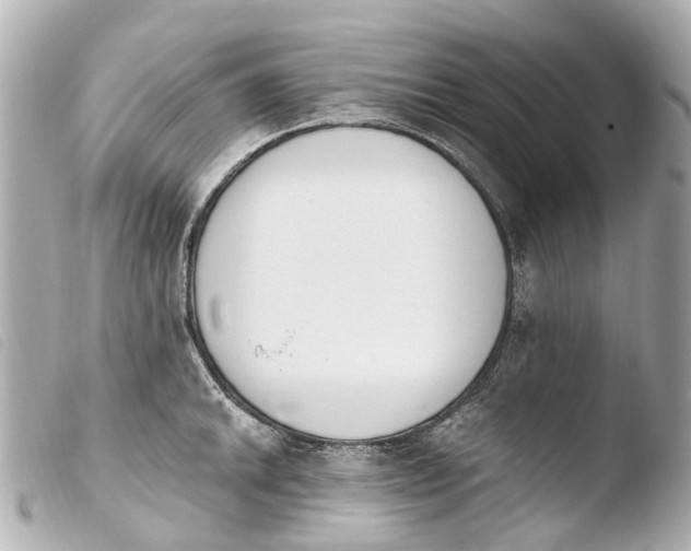 X0000103911046200810031208