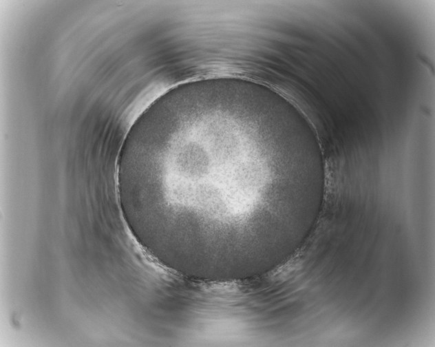 X0000103911047200810031208