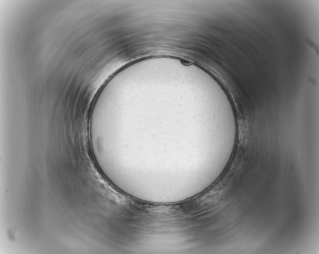 X0000103911048200810031208