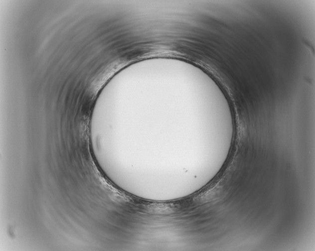 X0000103911049200810031208