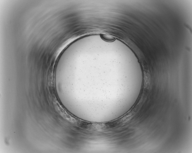 X0000103911052200810031208