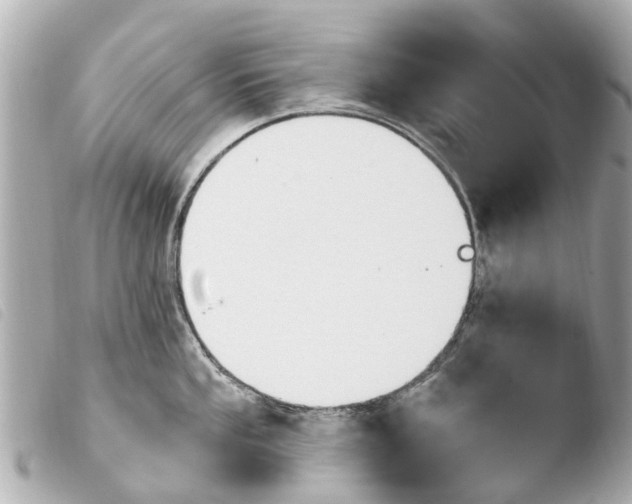 X0000103911053200810031208