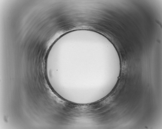 X0000103911054200810031208