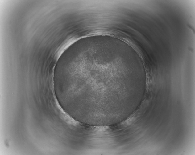 X0000103911055200810031208
