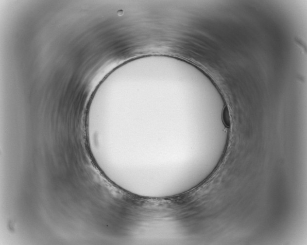 X0000103911056200810031208