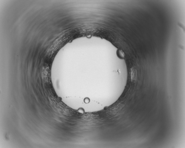 X0000103911059200810031207