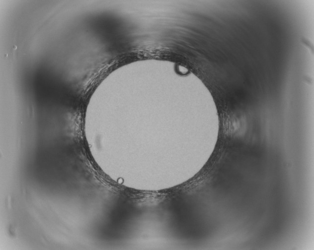 X0000103911060200810031207