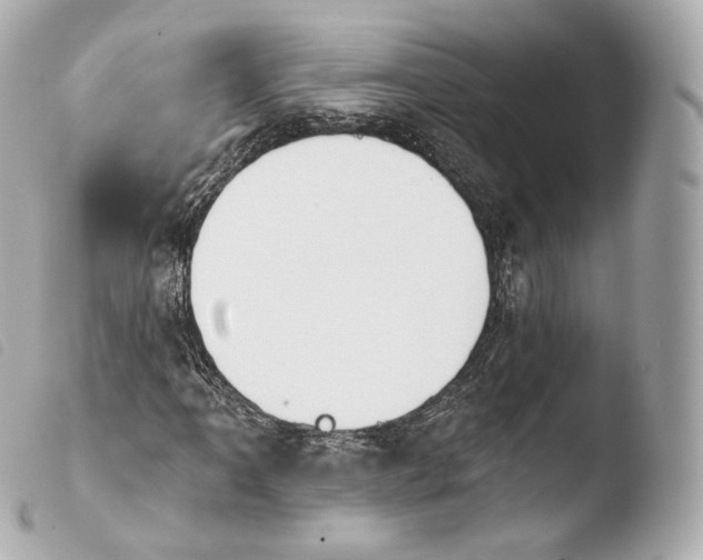 X0000103911061200810031207