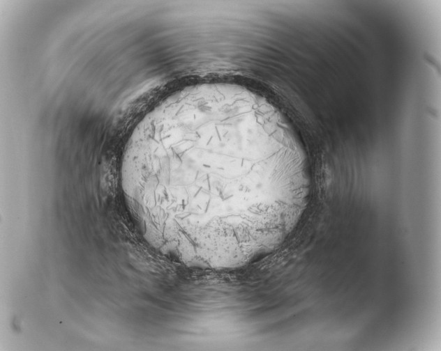 X0000103911063200810031207