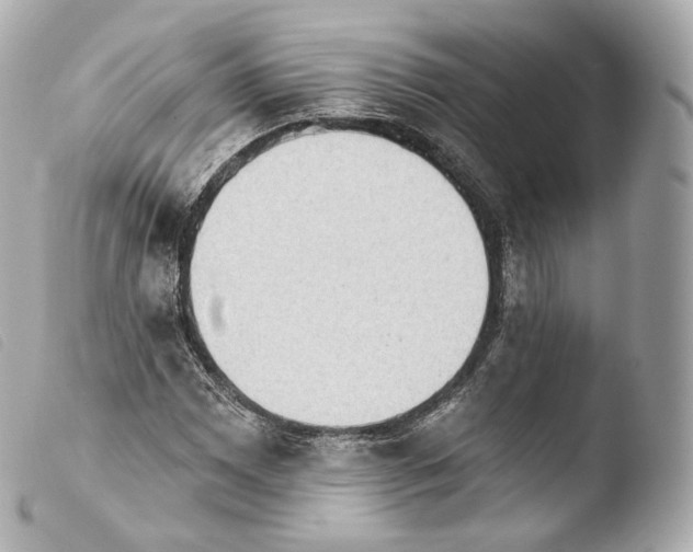 X0000103911065200810031207