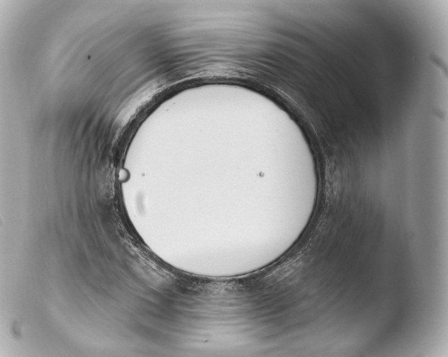 X0000103911067200810031207