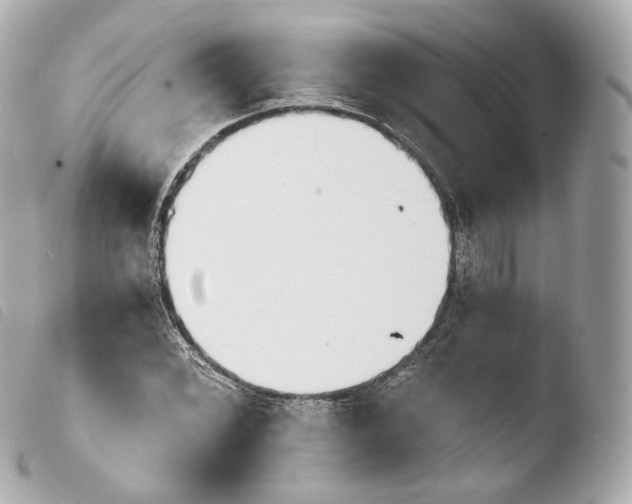 X0000103911068200810031207