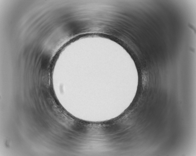 X0000103911069200810031207