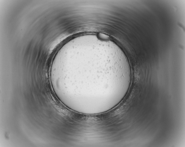 X0000103911070200810031207