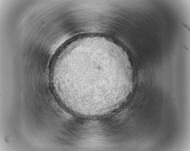 X0000103911071200810031207