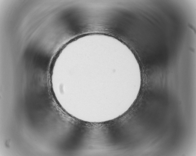 X0000103911072200810031207