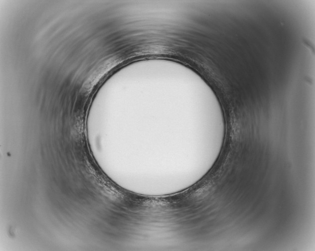 X0000103911073200810031207