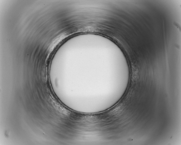 X0000103911075200810031207