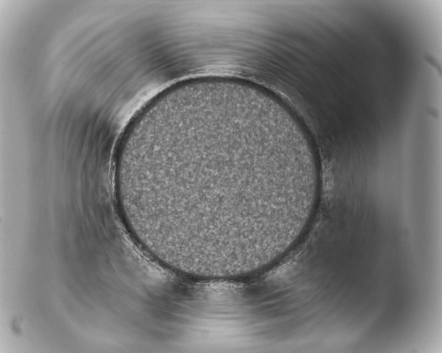 X0000103911077200810031207