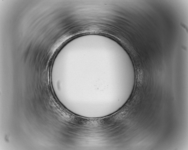 X0000103911078200810031207