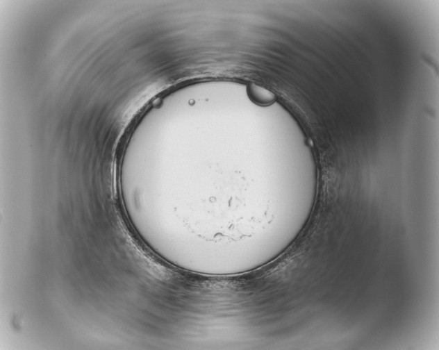 X0000103911079200810031207