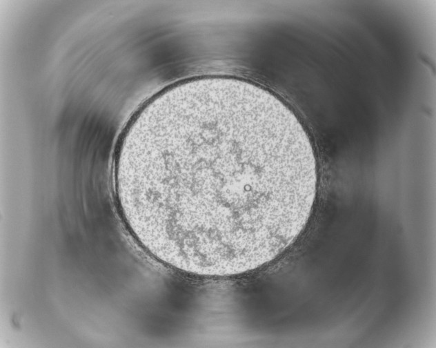 X0000103911080200810031207