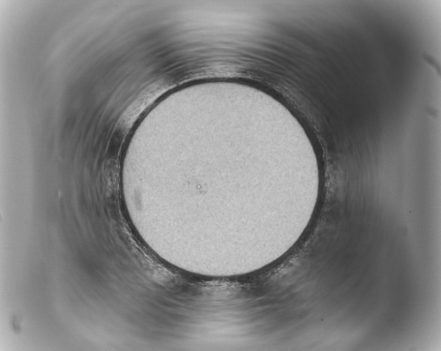 X0000103911081200810031207