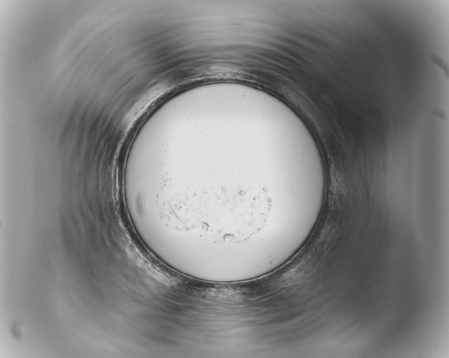 X0000103911082200810031207