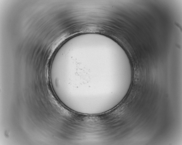 X0000103911083200810031207
