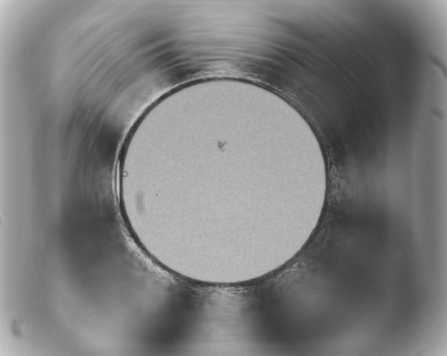X0000103911084200810031207