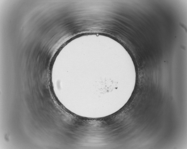 X0000103911085200810031207