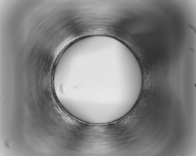 X0000103911086200810031207