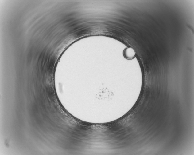 X0000103911089200810031207