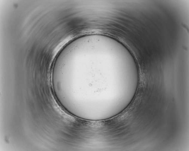 X0000103911090200810031207