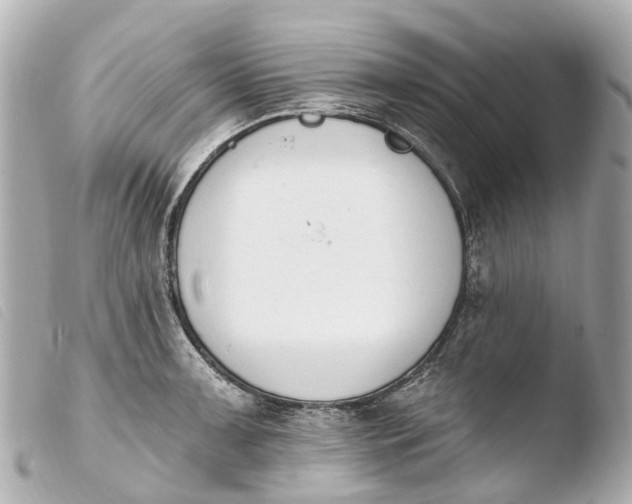 X0000103911091200810031207