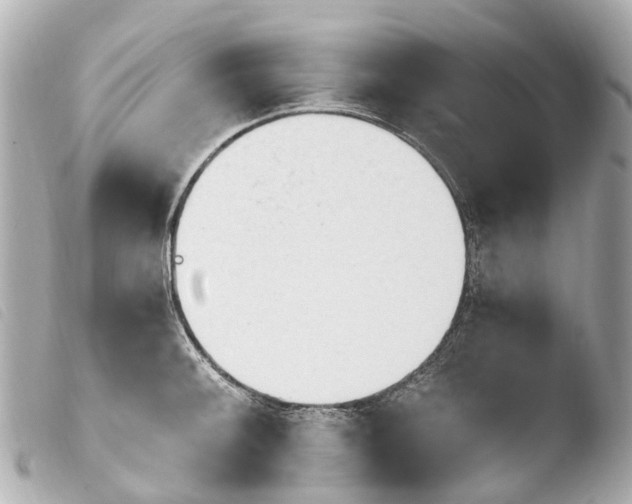 X0000103911092200810031207