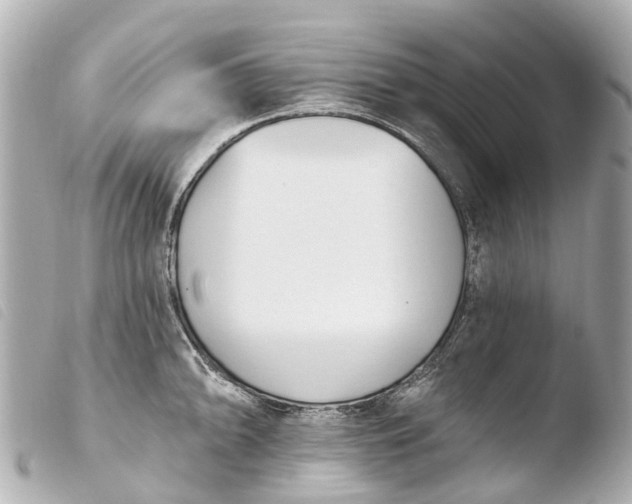 X0000103911094200810031207