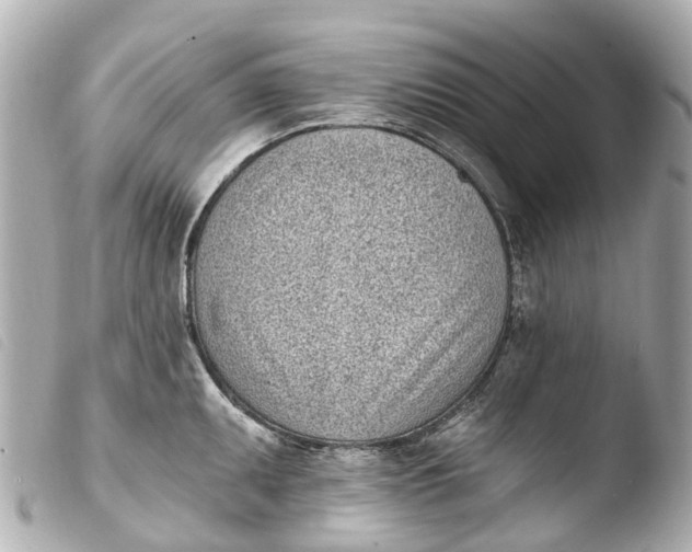 X0000103911095200810031207