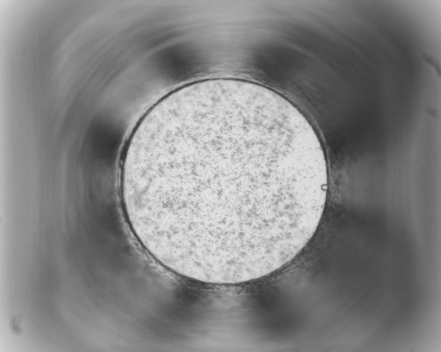 X0000103911096200810031207