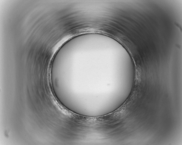 X0000103911098200810031207