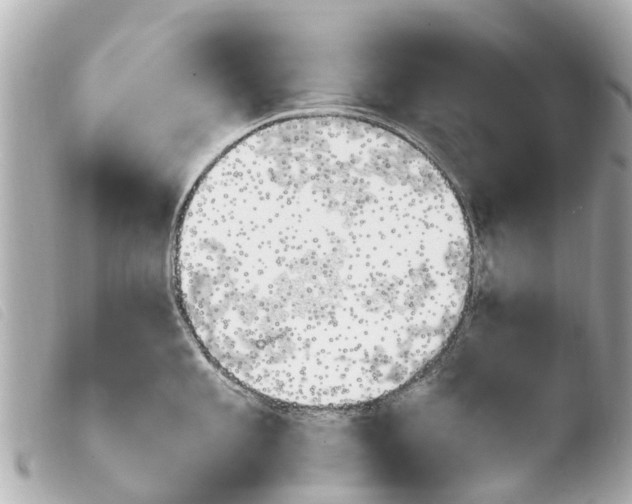 X0000103911101200810031206